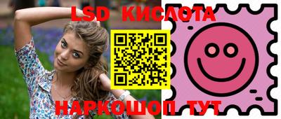 2c-b Камышлов
