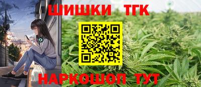 2c-b Камышлов