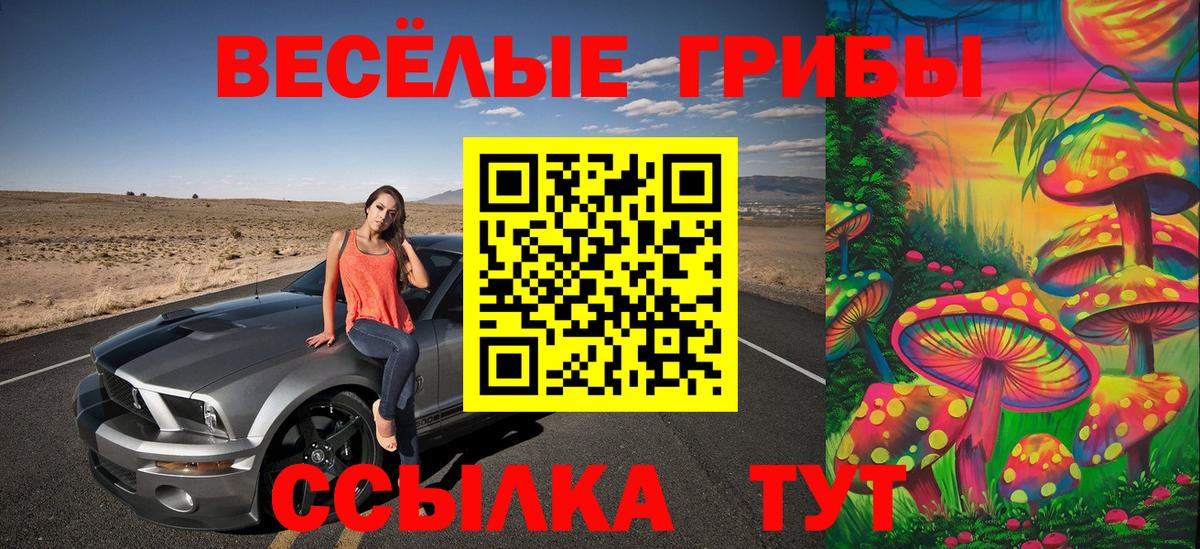 Галлюциногенные грибы мицелий  Вход с VPN  Щёлково  Галлюциногенные грибы MAGIC MUSHROOMS 
