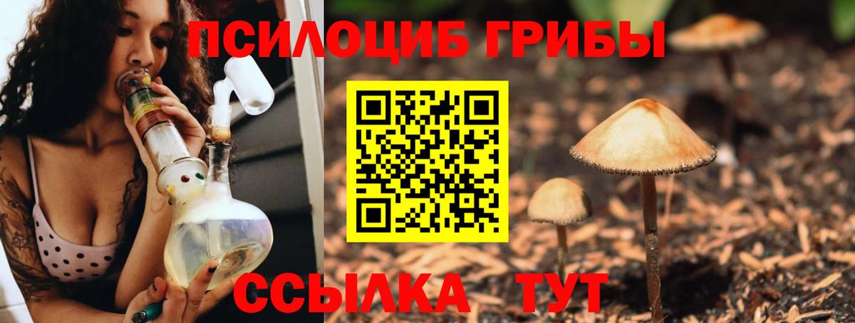 Галлюциногенные грибы GOLDEN TEACHER Щёлково